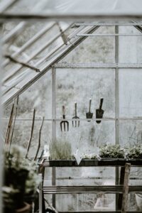 Växthus på sommaren: Hur du håller dina växter vid liv