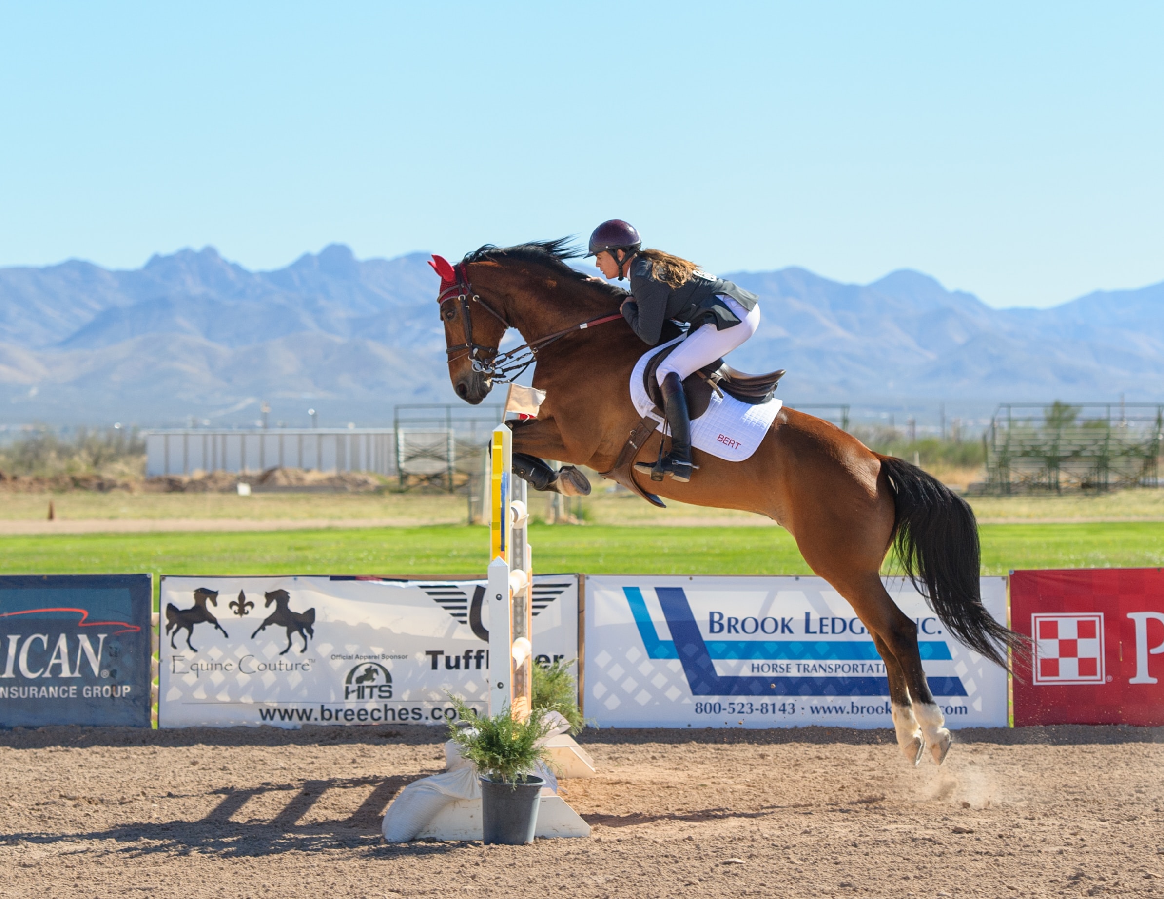 Bilden visar en häst med ryttare som tävlar. Ridbyxor med rätt passform är viktigt vid tävlingar och vardagsridning.
